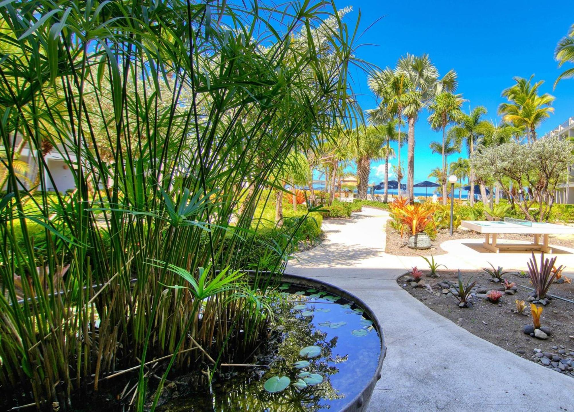 Rincon Of The Seas Grand Caribbean Hotel מראה חיצוני תמונה